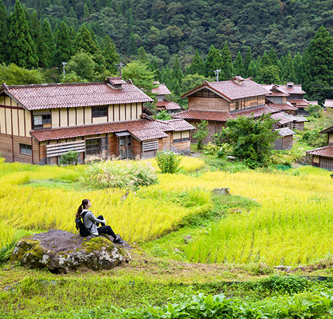 奥山中エリア イメージ