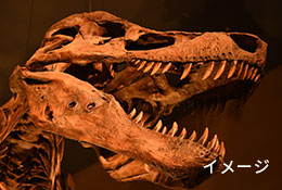 福井県立恐竜博物館 イメージ